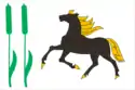 Flag of Kamyshlinsky District