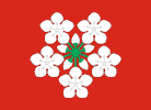 Flag of Lier kommune