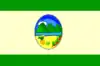 Flag of Manaure