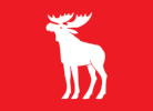 Flag of Ringsaker kommune