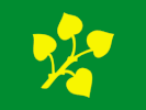 Flag of Stryn kommune