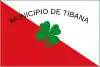 Flag of Tibaná