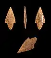 Neolithic arrowheads Muséum de Toulouse