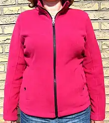 Woman's torso wearing red fleece