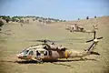 A UH-60 Black Hawk of 123rd Squadron "Desert Birds" (yellow logo)
