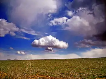 Field and sky