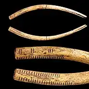 Inscribed bones, Gravettian culture