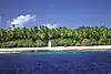 Heavy vegetation on Flint Island