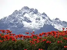 Bolívar Peak