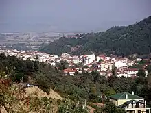 Florina