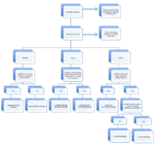 Flowchart for Assessment of Visual Agnosias.