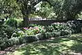 Flower garden