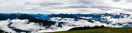 A foggy day at Hurricane Ridge, as seen from the visitor center