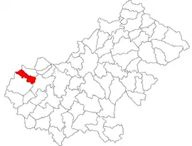 Location in Satu Mare County