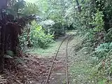 Nihotupu Tramline in the Waitākere Ranges