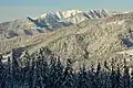 Part of the forested Carpathian Mountains near Ciocănești