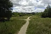 Looking east from the A65 along the former railway trackbed