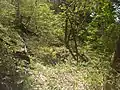 Mount Camiolo di Cima, ruins of an ancient lime kiln near the Olva land