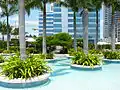 East side of pool deck with miniature palm islands