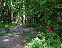 The former site of the Fox Sisters' cabin is now a small clearing in the woods