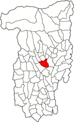 Location in Vâlcea County