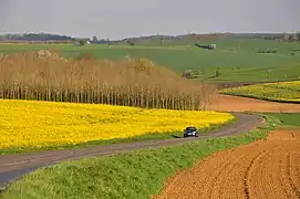 Simple roads (with only two lanes) like the D978 near of Logny-Bogny, Ardennes are nowadays usually limited to 80 km/h, in their interurban parts