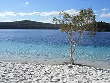 Image 10Lake McKensie, Fraser Island (from Queensland)