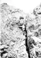 Fred Shepard climbing a mountainside