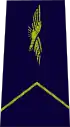 Élève officier du personnel navigant (EOPN)(navigation officer cadet)