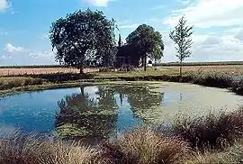 The church and surroundings in Fresnay-le-Gilmert