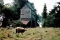 Sheep and the gatehouse