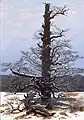 Caspar David Friedrich: Oak tree in snow, 1829