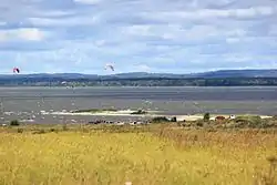 View of the Vistula Lagoon, Guryevsky District