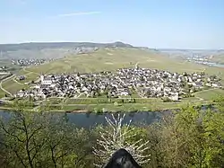 The peninsula Minheim surrounded by the Moselle river