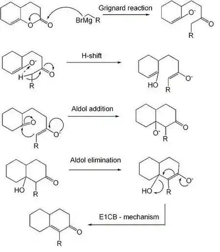 mechanism of the reaction