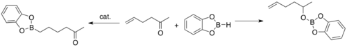 Functional group selectivity-catalytic hydroboration