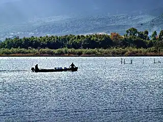 Fisherman on the Étang de Biguglia