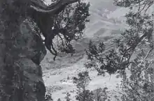 Valley of springs where Ute came to hunt and take the mineral springs. The center of the photograph shows a "lone encampment" of Ute Native Americans, between 1874 and 1879.