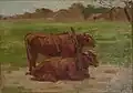 Oxen in Yoke (oil on canvas; privately owned)