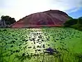 View of lotus pond below from Samanar Hills top