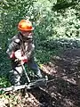 Winching a lodged Birch tree trunk down to ground