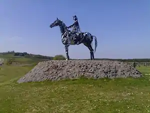 Gaelic Chieftain near Boyle