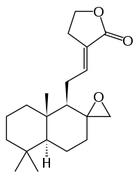 Galanolactone