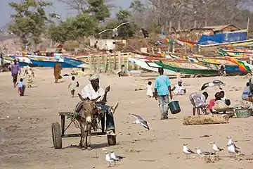 Image 5A donkey cart at a beach in The Gambia