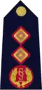 Rank insignia of Garda Commissioner