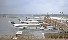 Planes lined up at a terminal