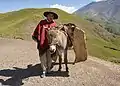 Argentinian man wearing a Gaucho.