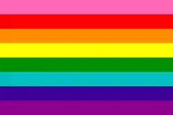 Gay pride flag(original eight-color version, June 1978)