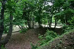 Genbao Castle ruins