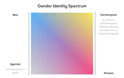 A gender spectrum graph with Masculinity on the Y axis and Femininity on the X axis.